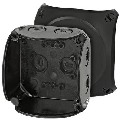 Hensel 62000042 Abzweigkasten (L x B x H) 62 x 93 x 93 mm Schwarz IP66, IP67, IP69 1 St.