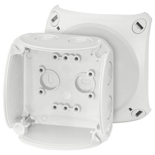 Hensel 62000041 Abzweigkasten (L x B x H) 62 x 93 x 93 mm Lichtgrau (RAL 7035) IP66, IP67, IP69 1 St.