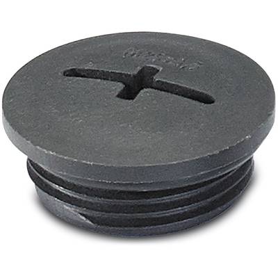 Rundes, schwarzes Kunststoffteil mit Schraubgewinde und Schlitz oben, vermutlich ein Stopfen oder Deckel.
