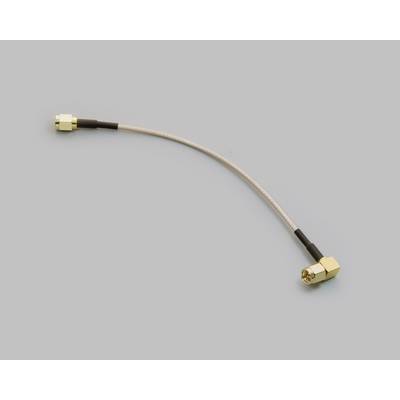 Ein kurzes Kabel mit einem goldenen Stecker an jedem Ende, das in einem leichten Bogen liegt. Hintergrund ist schlicht grau.