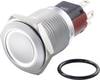 TRU COMPONENTS TC-7495012 TC-GQ16-KH-11E/J/W/12V/C Vandalismusgeschützter Druckschalter 48 V/DC 2 A 1 x Aus/(Ein) tastend Weiß IP65 1 St.