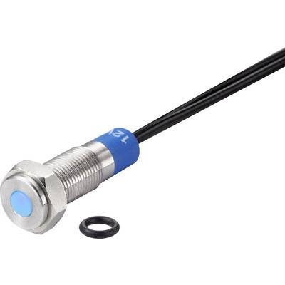 Metallsensor mit blauer Spitze und Gewinde, schwarzes Kabel und ein kleiner schwarzer Dichtungsring daneben.