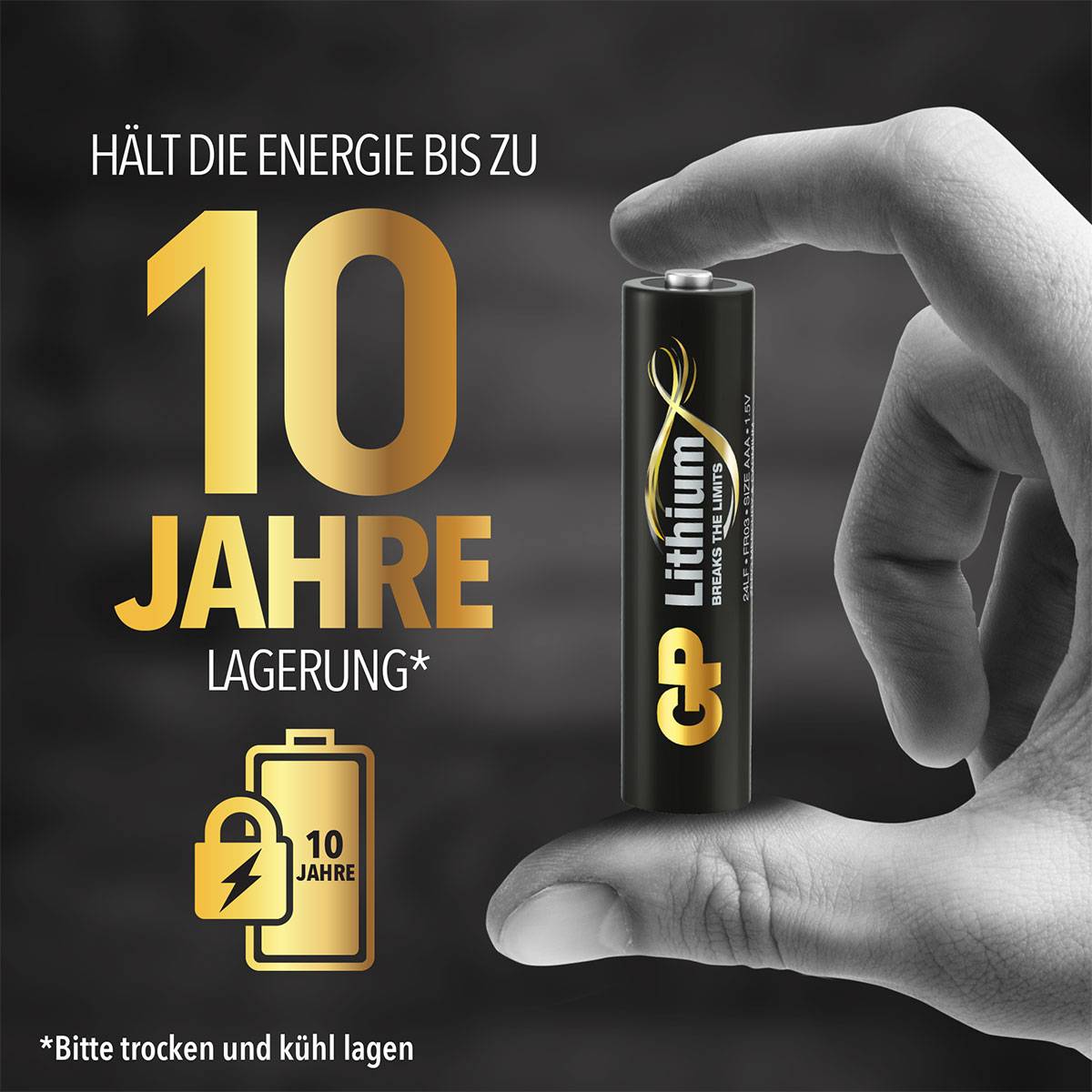 Eine Hand hält eine Lithium-Batterie. Text: 'Hält die Energie bis zu 10 Jahre Lagerung'. Symbole und Hinweise zur Lagerung.