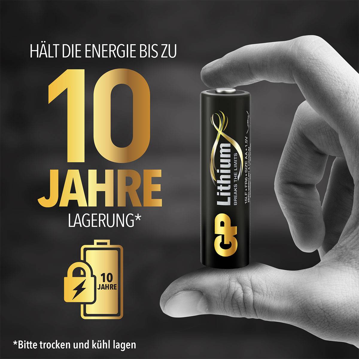 'Hand hält Lithiumbatterie. Text auf Deutsch: "Hält die Energie bis zu 10 Jahre Lagerung". Symbol: Batterie mit Schloss und "10 Jahre".'