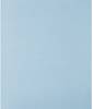 PFERD TOOLS 45015080 Handschleifpapier Körnung (num) 800 (L x B) 280 mm x 230 mm 50 St.