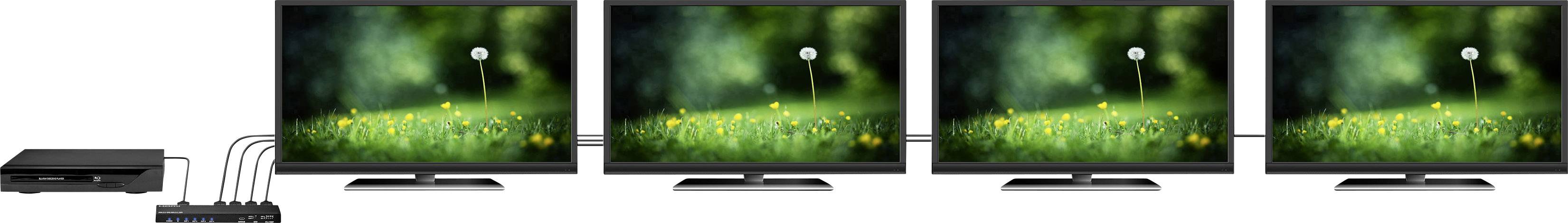 'Ein Computer ist mit vier Monitoren verbunden. Jeder Bildschirm zeigt ein Bild einer Blumenwiese mit einem Baum.'