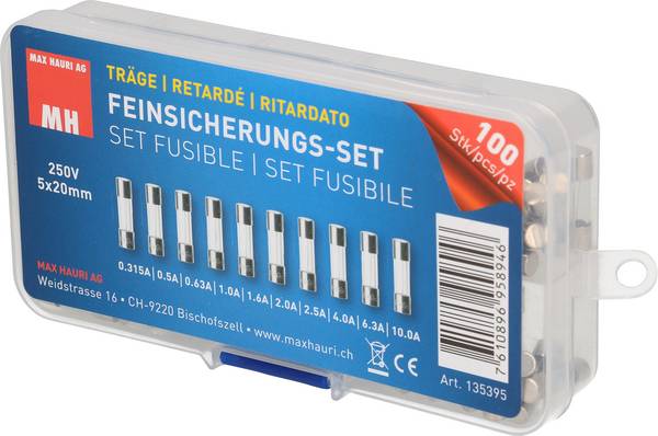 Max Hauri 135395  Feinsicherung-Sortiment (Ø x L) 5 mm x 20 mm   Träge -T- Inhalt 100 St.