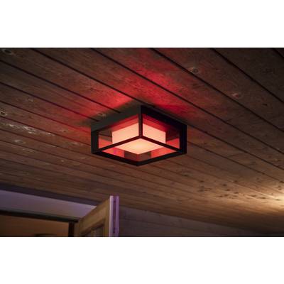 Eine rote Deckenleuchte aus Metall und Glas hängt an einer Holzdecke. Sie beleuchtet subtil den Raum und erzeugt eine warme Atmosphäre.