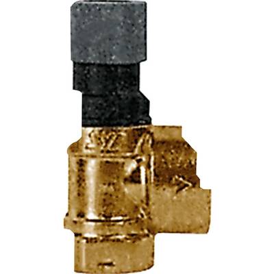 Kleines, glänzendes Bauteil aus Metall mit schwarzem Anschluss oben. Möglicherweise ein Ventil oder eine Verbindungseinheit.