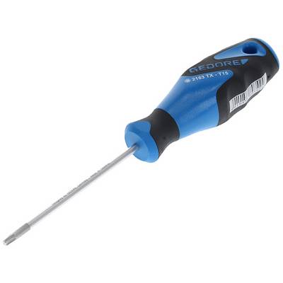 Blauer Schraubendreher mit schwarzem Griff und T15-Torx-Kopf.