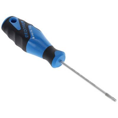 Schraubendreher mit ergonomischem, blau-schwarzem Griff und langer, dünner Klinge, geeignet für Torx-T15-Schrauben.