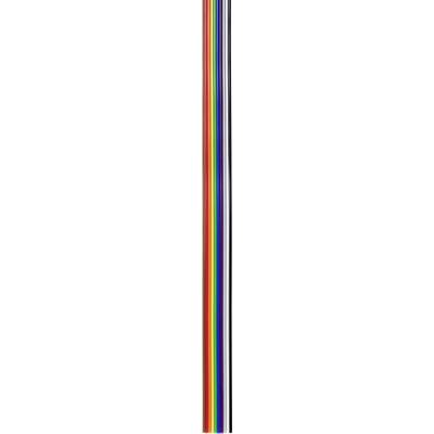 'Progress-Flagge' mit Streifen in Schwarz, Braun, Blau, Rosa, Weiß, Rot, Orange, Gelb, Grün und Violett, Symbol für Vielfalt und Inklusion.