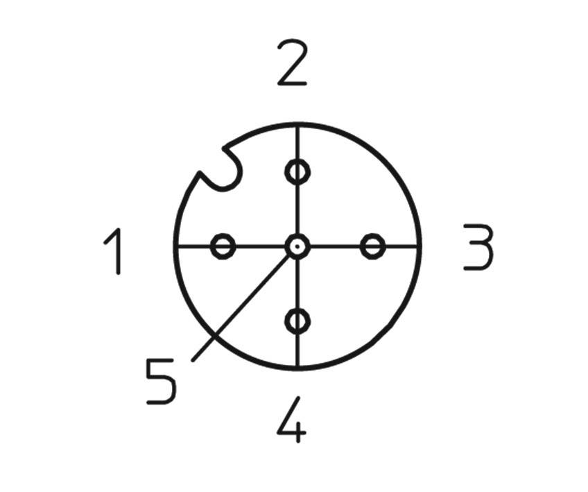 Diagramm eines elektrischen Steckverbinders mit fünf Kontakten, nummeriert von 1 bis 5. Linien verbinden den Mittelpunkt mit den Kontakten.
