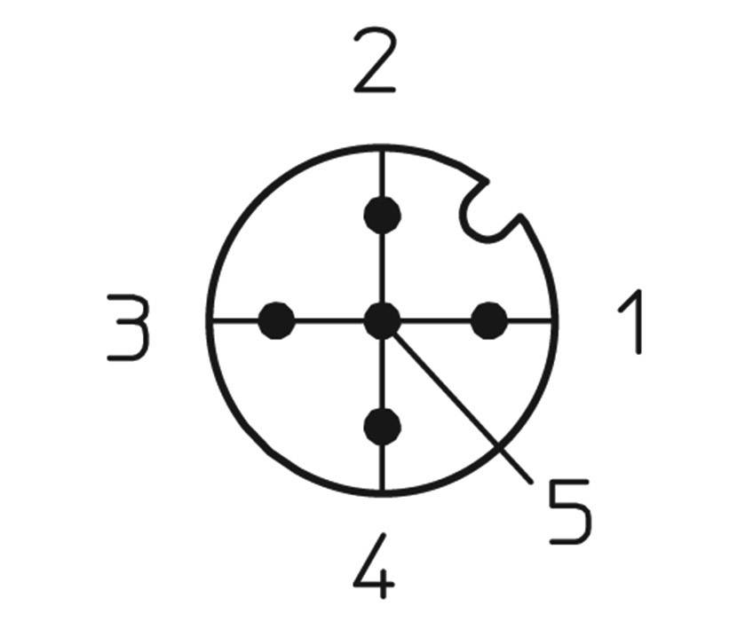 Kreisförmiges Diagramm mit fünf nummerierten Punkten. Punkt 1 ist rechts oben, Punkt 2 oben, Punkt 3 links, Punkt 4 unten, Punkt 5 in der Mitte.