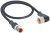 Lutronic 1162 Sensor-/Aktor-Anschlussleitung M12 Stecker, gerade, Buchse, gewinkelt 5.00 m Polzahl Sensoren: 4 1 St.