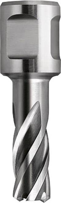 Gegenstand: Metallschneidwerkzeug mit spiralförmigen Klingen, verwendet zum Bohren oder Fräsen präziser Löcher in Materialien.