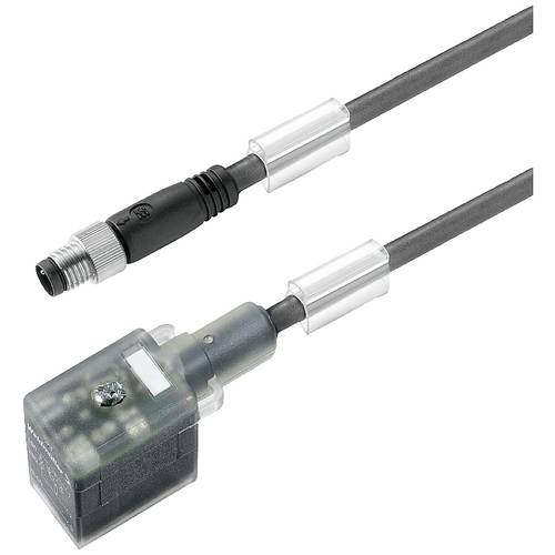 Weidmüller 1276450250 Sensor-/Aktor-Steckverbinder, konfektioniert Stecker 1.50 m Polzahl Sensoren: 3 1 St.