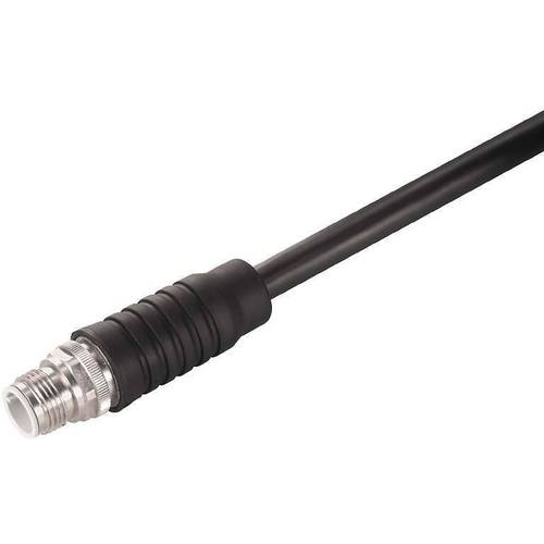 Thumbnail - Weidmüller 1380540000 Sensor-/Aktor-Steckverbinder, konfektioniert M12 Stecker Polzahl Sensoren: 4 1 St.