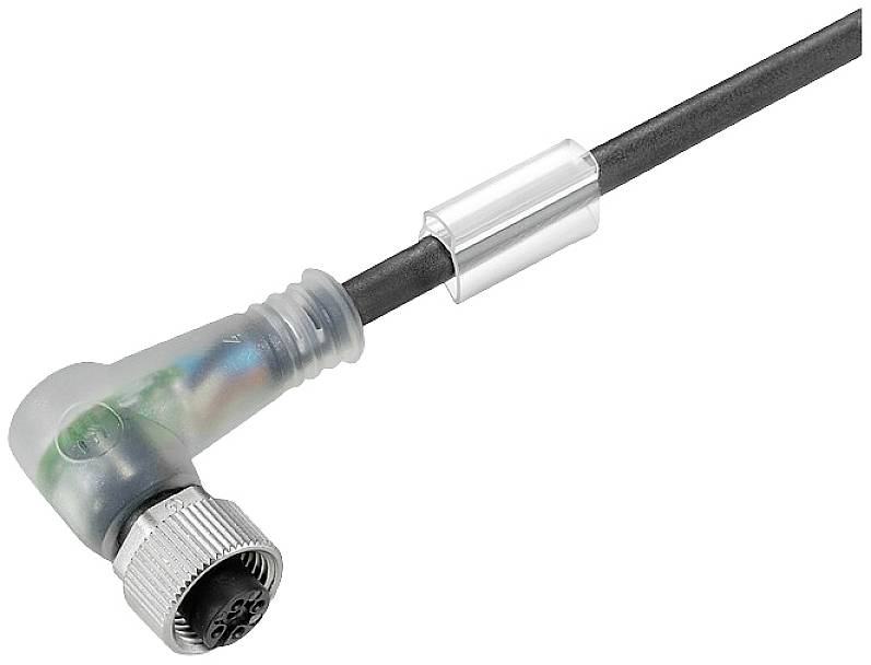 Winkelstecker mit durchsichtigem Gehäuse und schwarzem Kabel, gezeigt in einer Nahaufnahme auf weißem Hintergrund.