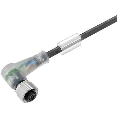 Winkelstecker mit durchsichtigem Gehäuse und schwarzem Kabel, gezeigt in einer Nahaufnahme auf weißem Hintergrund.