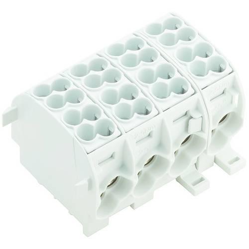 Weidmüller 1561800000 Potenzialverteiler Schrauben Lichtgrau 1 St.