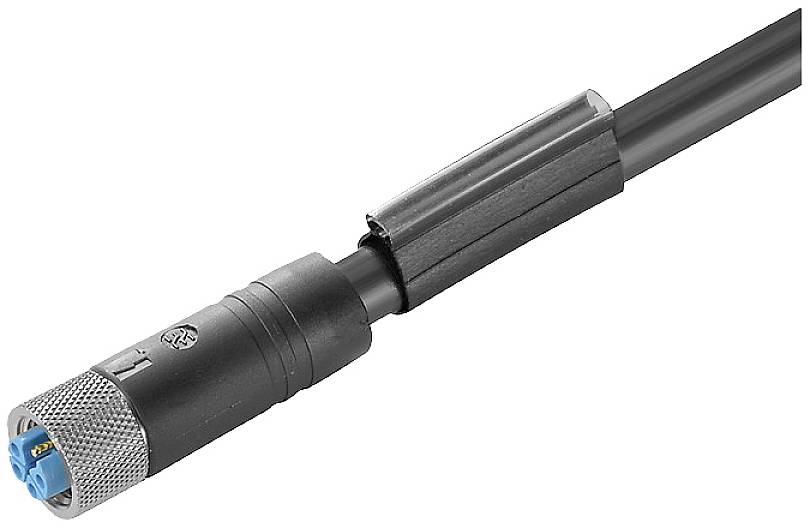 Weidmüller 2455150300 Sensor-/Aktor-Steckverbinder, konfektioniert M12 Buchse 3.00 m Polzahl Sensoren: 4+PE 1 St.