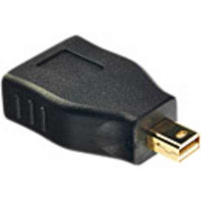 LINDY 41077 Mini-DisplayPort / DisplayPort Adapter [1x Mini-DisplayPort Stecker - 1x DisplayPort Buchse] Schwarz  