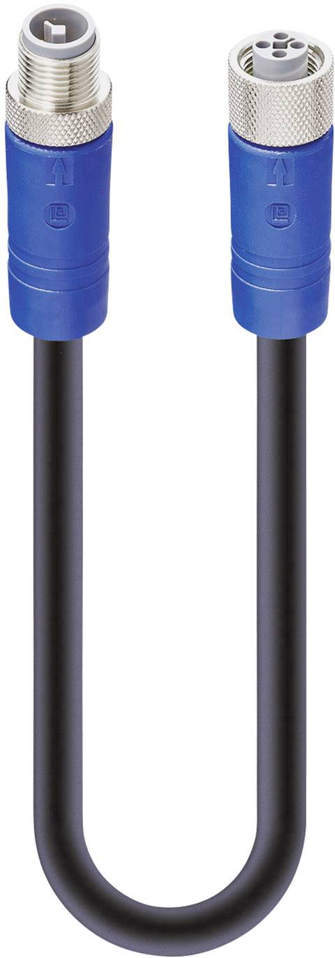 'Ein schwarzes Kabel mit blauen Anschlüssen an beiden Enden, geeignet zur Verbindung von elektronischen Geräten.'