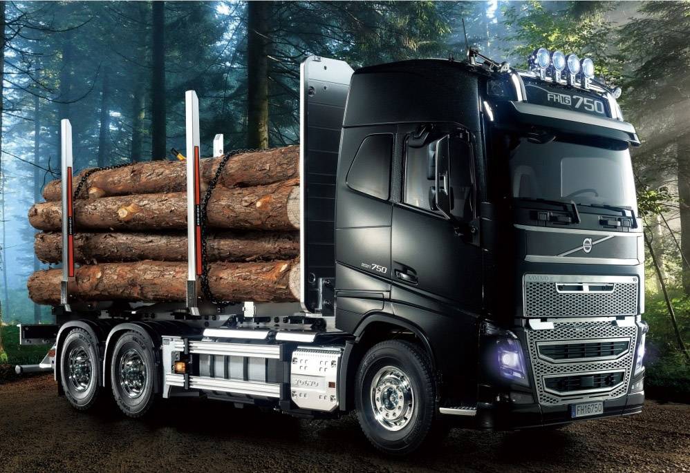 Ein großer schwarzer Lastwagen transportiert Baumstämme durch einen Waldweg. Sonnenlicht scheint durch die Bäume und beleuchtet die Szene.