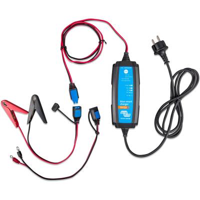 'Ladegerät für Fahrzeugbatterien mit zwei Kabeltypen: Krokodilklemmen und Ringkabelschuhe. Abnehmbarer EU-Netzstecker.'