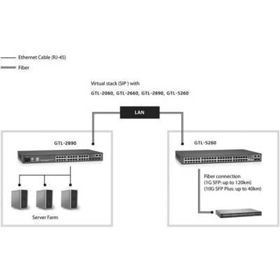 Diagramm zur Netzwerkverkabelung: Ein LAN verbindet zwei Geräte, GTL-2890 und GTL-5260, mit Glasfaser- und Ethernetkabeln.
