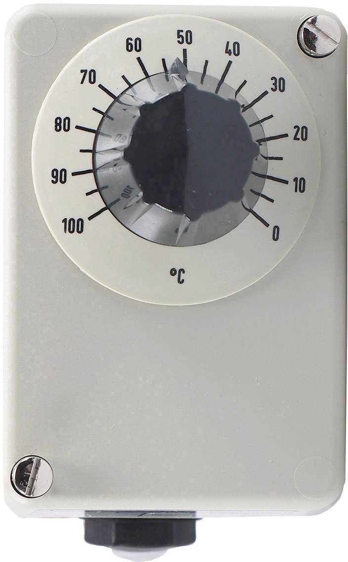 JUMO Temperaturregler 0 - 100 °C