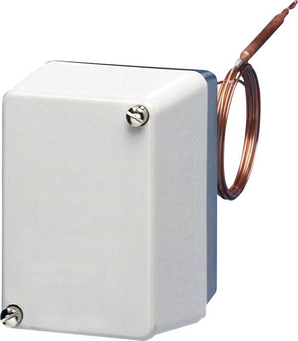 Jumo 60000962 Temperaturwächter 0 bis 100 °C