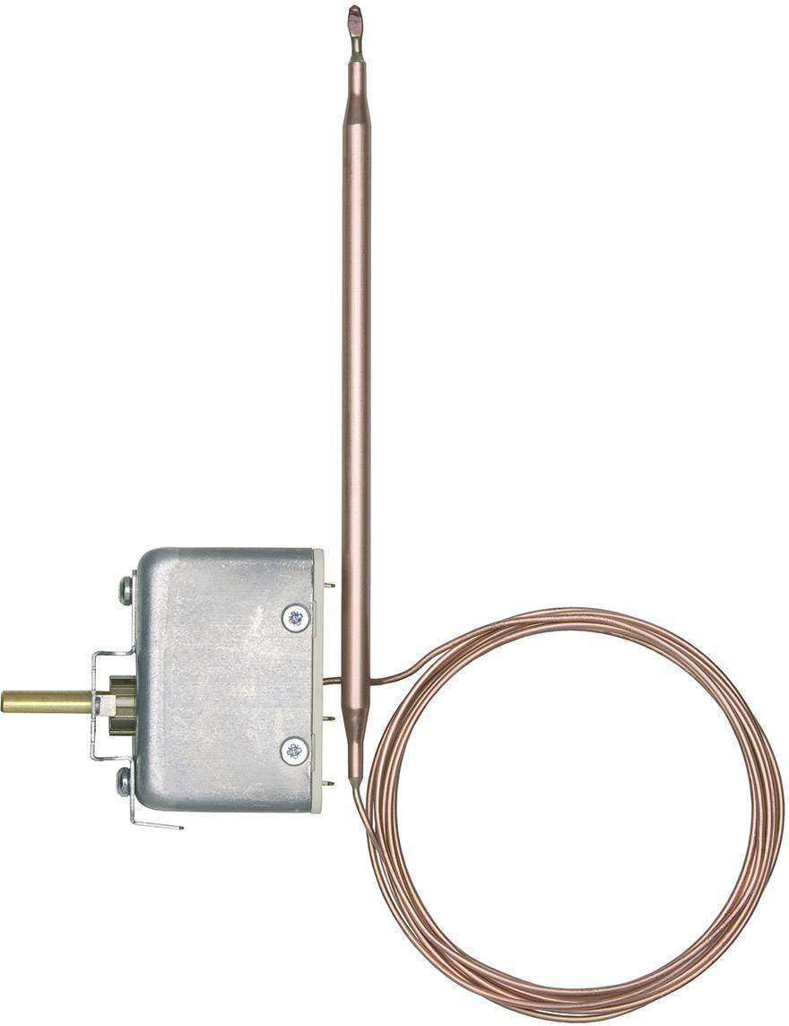 Jumo 60000219 EM Series Temperature Limiter Monitors Thermal Processes