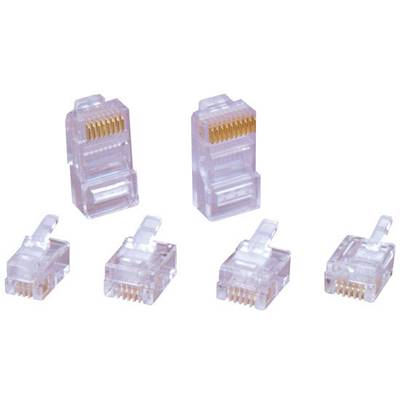 Fünf transparente RJ45-Steckverbinder, die in einer Anordnung auf einer weißen Fläche liegen. Sie sind für Netzwerkverbindungen gedacht.