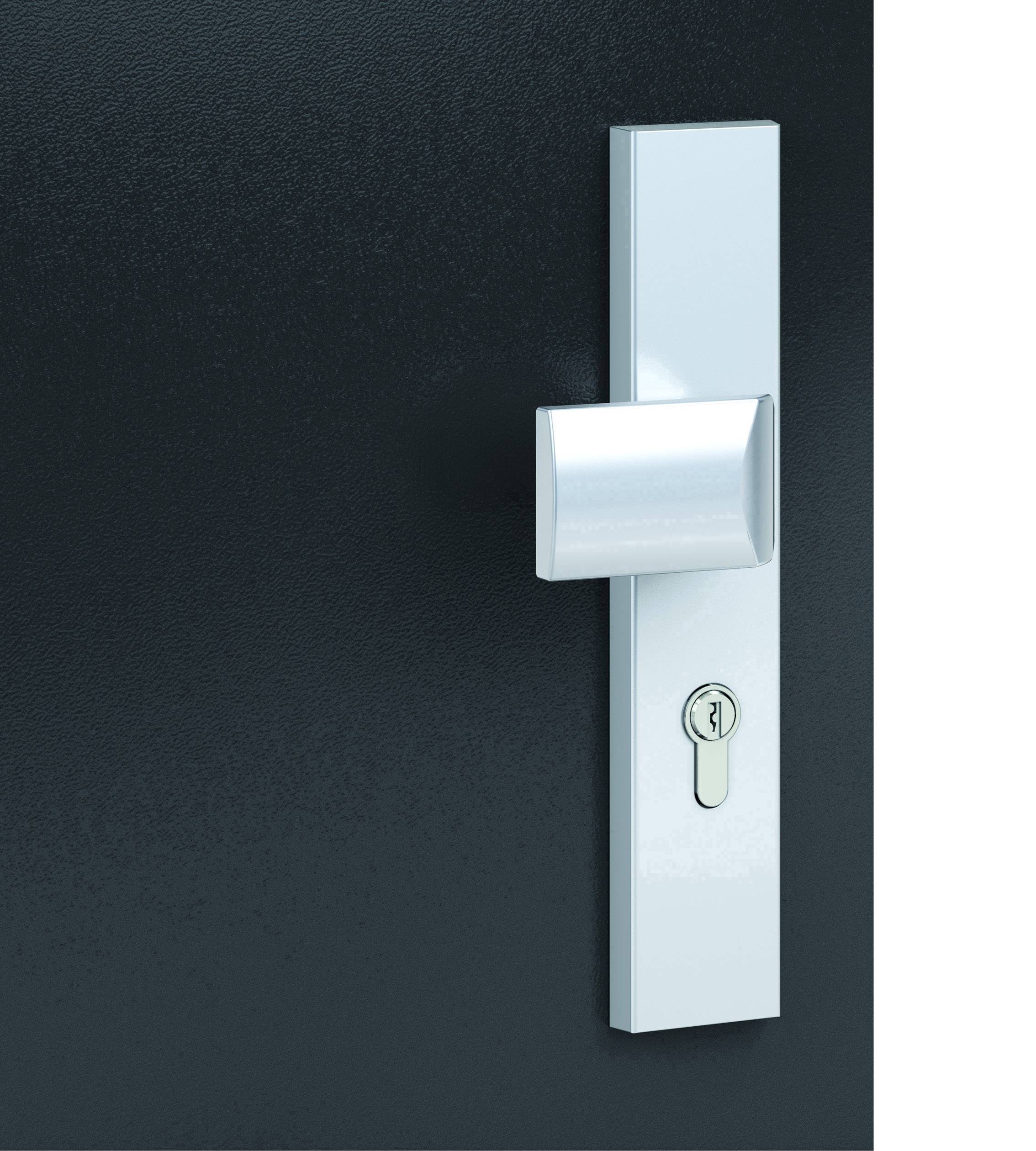 Silberner Türgriff mit Schloss auf einer dunklen Tür.