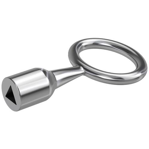 Basi 301D-10 Dornschlüssel Silber