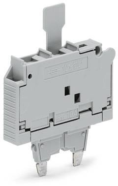WAGO 2006-931/1000-867 Sicherungsstecker Grau 25 St.