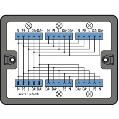 WAGO 899-631/313-000 Verteiler-Box 899 25 A Schwarz 1 St.
