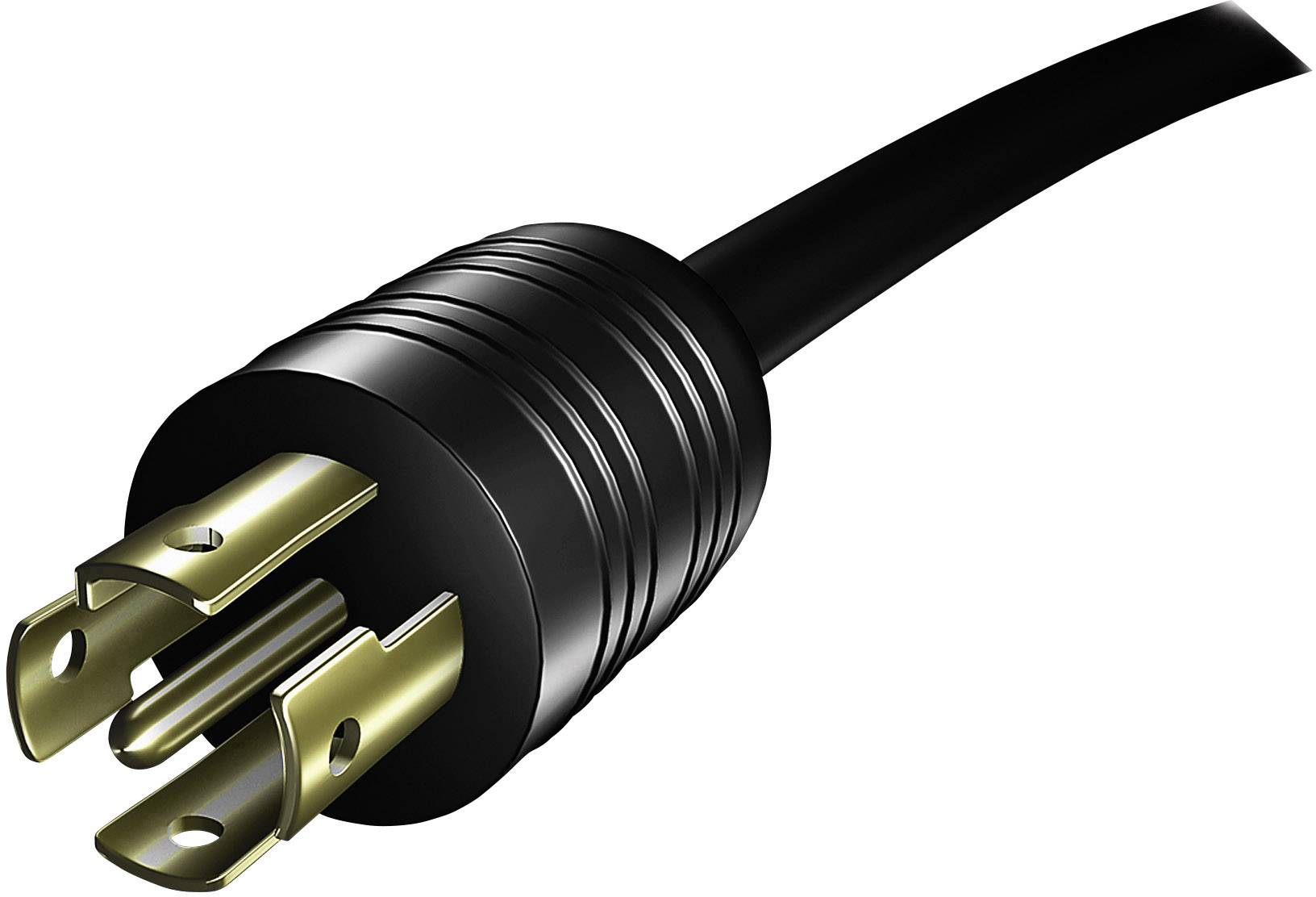 'Nahaufnahme eines schwarzen Netzkabels mit dreipoligem Stecker.'