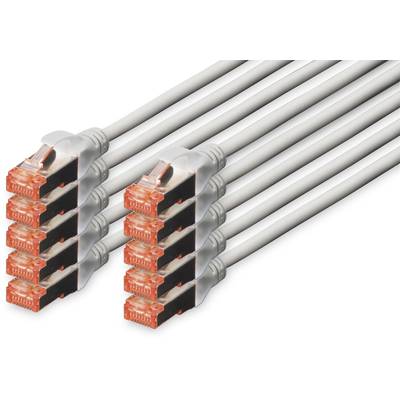 Acht beige Ethernet-Kabel mit orangefarbenen Steckern liegen parallel nebeneinander.