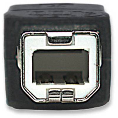 Vorderansicht eines USB-B-Anschlusses. Quadratische Form mit abgerundeten Ecken, geeignet für Drucker und andere Peripheriegeräte.
