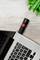 USB-Stick mit roter LED in einen Laptop eingesteckt, umgeben von grünen Blättern auf einem Holztisch.