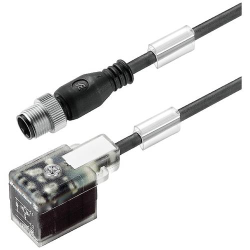 Thumbnail - Weidmüller 9457680015 Sensor-/Aktor-Anschlussleitung M12 15.00 cm Polzahl Sensoren: 3 1 St.