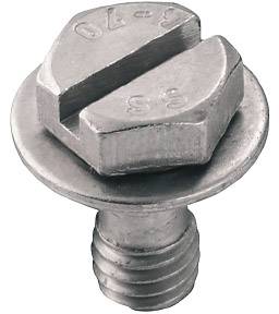Eine silberne Schraube mit Schlitzkopf, flacher breiter Kopf und kurzem Gewinde.