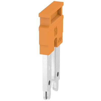 Orangefarbige Flachsicherung mit der Aufschrift '10 A', geeignet für elektrische Anwendungen, zeigt die seitliche Ansicht mit Glasstruktur.