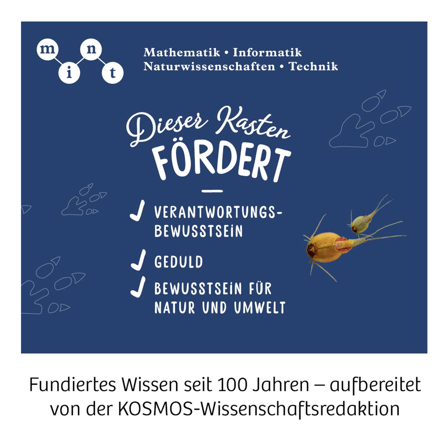 'MINT: Mathematik, Informatik, Naturwissenschaften, Technik. Dieser Kasten fördert Verantwortung, Geduld, Bewusstsein für Natur und Umwelt.' Fundiertes Wissen seit 100 Jahren von der KOSMOS-Wissenschaftsredaktion.