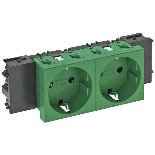 OBO Bettermann 6120366 Geräteeinsatz Steckdose (B x H x T) 131 x 90 x 42 mm 1 St. Grün