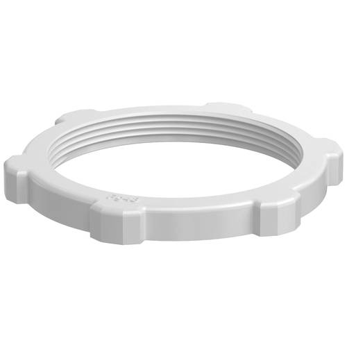 OBO Bettermann 2043483 116 PG48 Gegenmutter PG48 Kunststoff Lichtgrau 25 St.