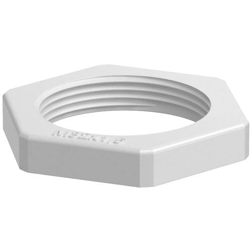 OBO Bettermann 2048949 116 M32 LGR PA Gegenmutter PG32 Kunststoff Lichtgrau 1 St.